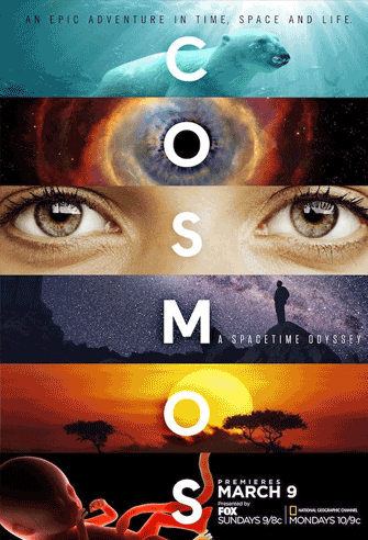 Cosmos: A Spacetime Odyssey poster